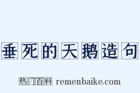 垂死的天鹅造句是什么意思的图片